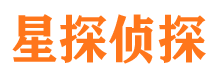 麦盖提市私家侦探公司